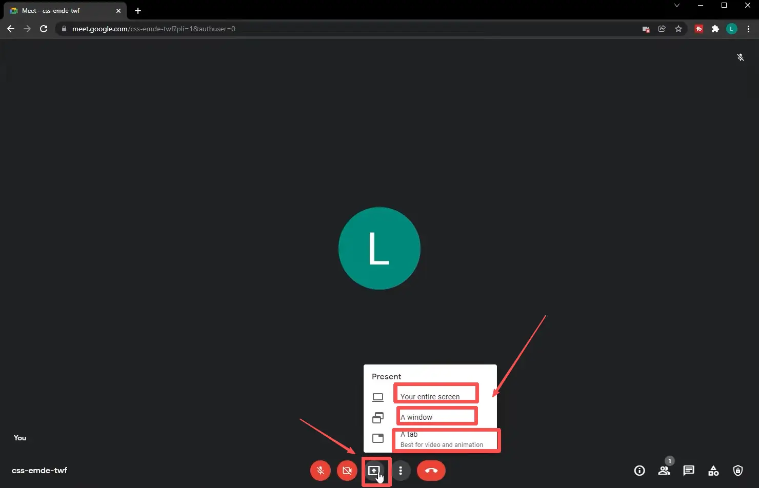 Langkah 4: Klik ikon ketiga di bagian bawah halaman. Ini adalah "Berbagi layar." Anda dapat memilih untuk berbagi seluruh layar Anda, sebuah jendela, atau tab. Anda dapat memilih salah satu dari ini.