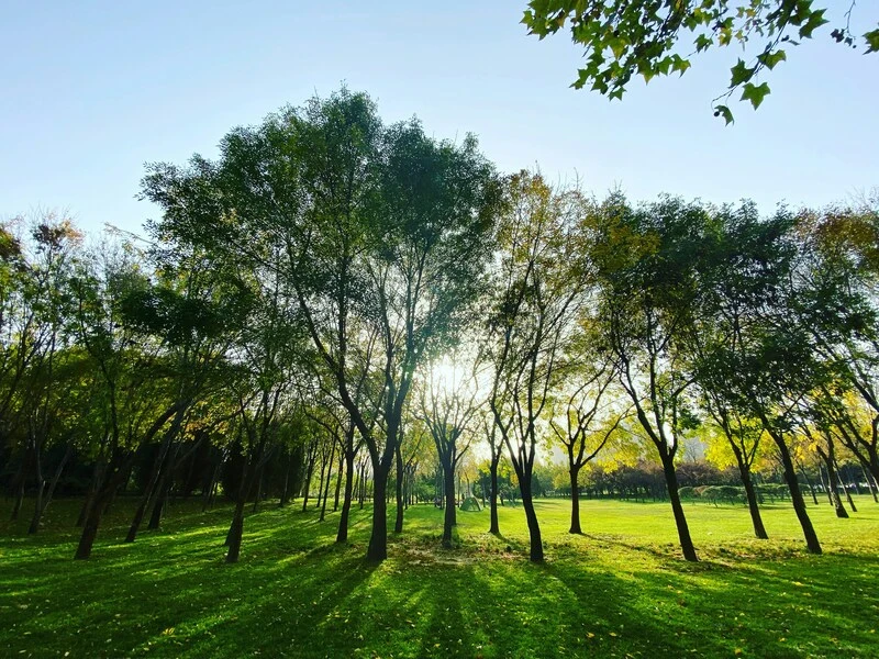 environment